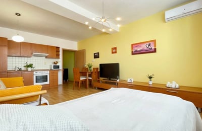 Rent of a furnished 1-room apartment, 36 m², Vajnory district, Bratislava, Slovakia